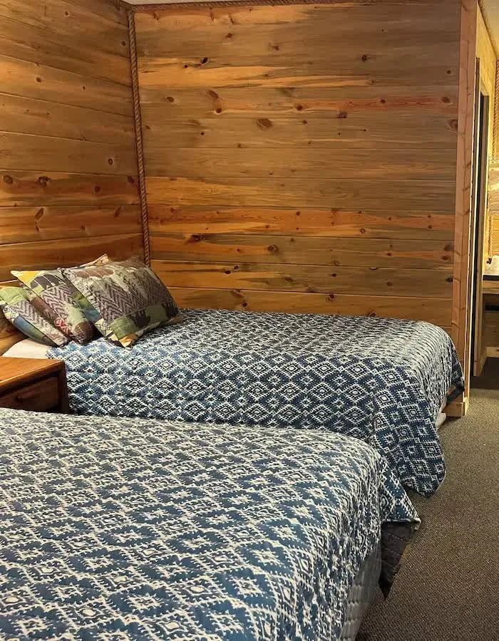 Deluxe room with two beds